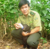 Gaur, horse bear appeared in Thanh Hoa forest