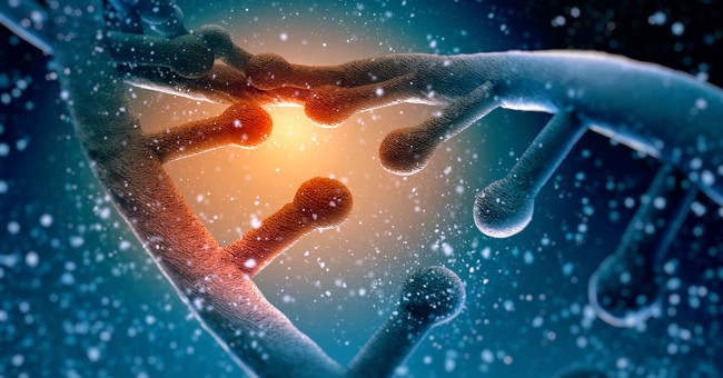 Gene 'selfish' in people contains the germ of the destruction of humanity