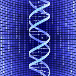 Gene therapy can help patients with anemia