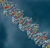 Gene therapy interventions can cure congenital deafness