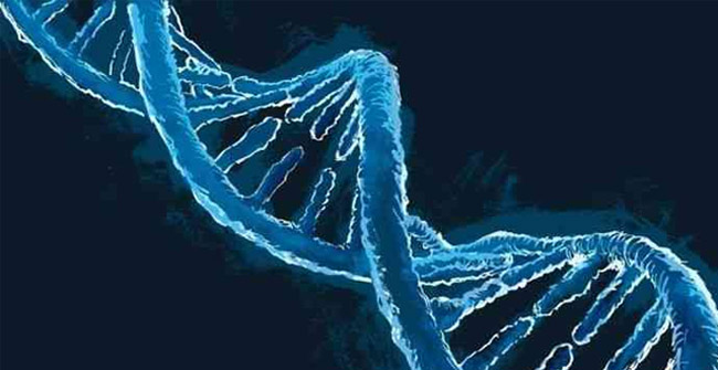 Gene therapy uses hematopoietic stem cells in the treatment of HIV / AIDS