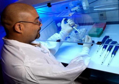 Generating jaw bone from stem cells
