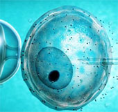 Genetic sources affect IVF methods