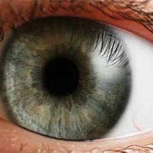 Genetic treatments make the brain work despite being born blind