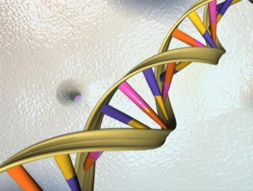 Genetically modified after a sleepless night