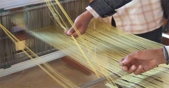 Genetically modified bacteria can produce super-durable spider silk for making space suits