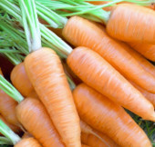Genetically modified carrots resist flu