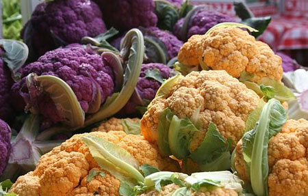 Genetically modified plants and the future in Vietnam