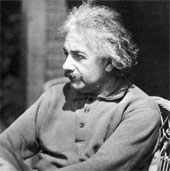 Genius Einstein - 'Solitary wolf'