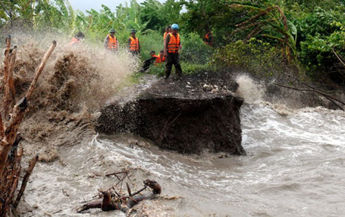 Germany and Australia help Vietnam protect coastal resources