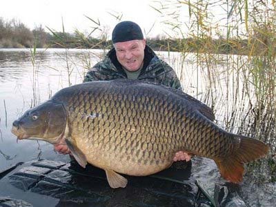 Germany: catch giant carp