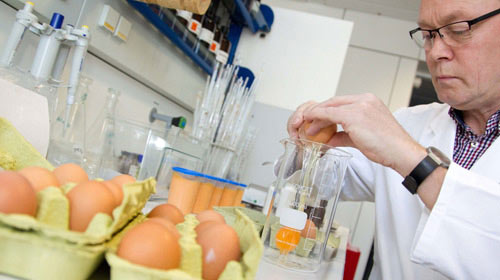 Germany closed nearly 5,000 farms