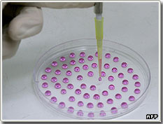 Germany relaxed the law of germ cell research