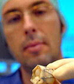 Germany: Replace heart valves without surgery