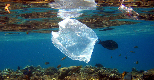 Germany will collect plastic waste on the sea