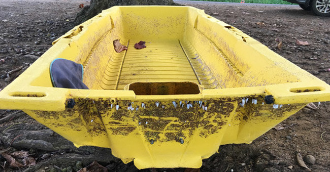 'Ghost boat' carrying mutant suspects washed up on the coast of Hawaii