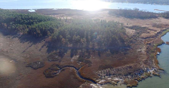 'Ghost forest' spread rapidly in North America due to climate change