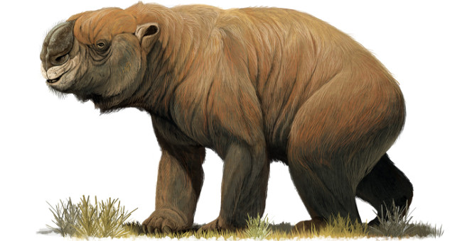 Giant beasts that once dominated Australia in prehistoric times