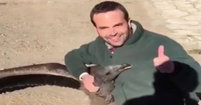 Giant birds flew back to visit the life-saving benefactor