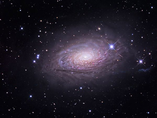 Giant carnivores in the universe
