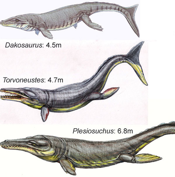 Giant crocodile dominates the ancient ocean