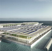 Giant floating farms grow vegetables with sea water