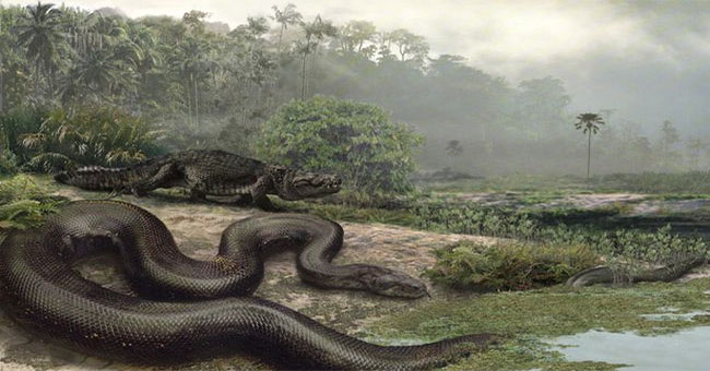 Giant monster Titanoboa still lives in the Amazon forest?