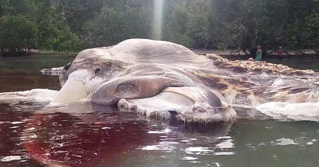 Giant panic monster in Indonesia