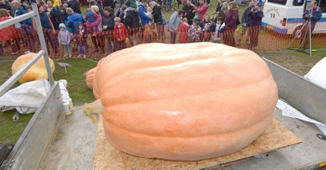 Giant pumpkin weighs more than 1 ton breaking the British record