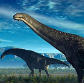 Giant size of dinosaurs