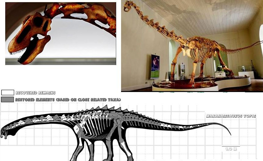 Giant source of dinosaurs