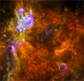Giant stars are created from 'star nursery'.