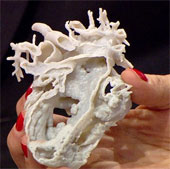 Girls are saved by 3D heart