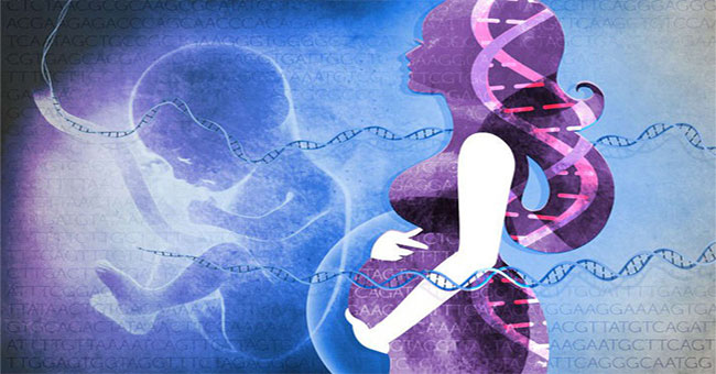 Girls born with nearly 100% genes from their father and that is not a blessing!