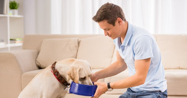 Giving your pet something to eat can make ... the owner sick