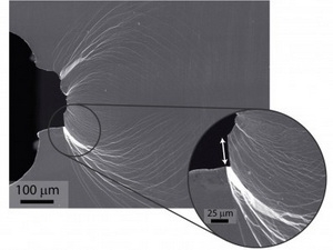 Glass is metal-stable due to palladium