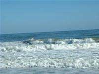 Global warming changes the ocean flow