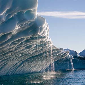 Global warming has terrible consequences