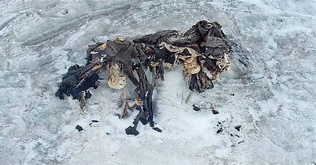 Global warming is defrosting ... World War I corpses
