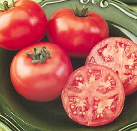 GM genetically modified plants