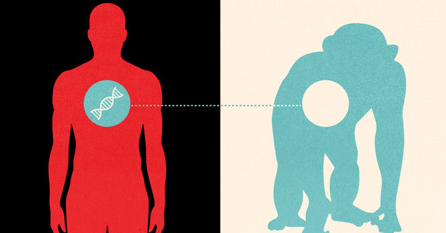 Goat sperm transplantation to humans: The past and future of heterosexual transplantation
