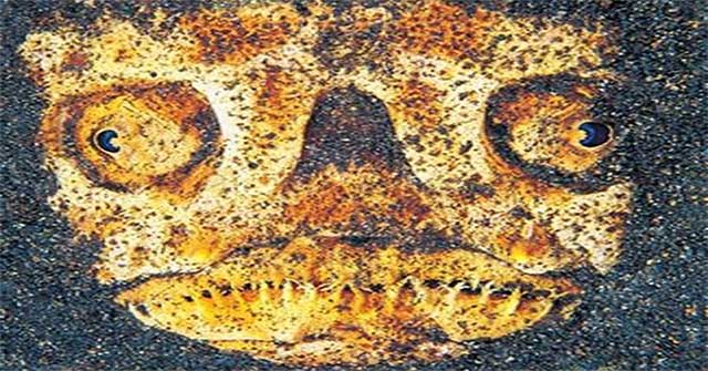 Going for a walk, the couple discovered a strange 'face'