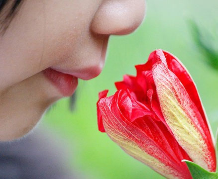 Going to cure congenital olfactory loss?