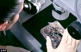 Going to test human embryonic stem cell therapy