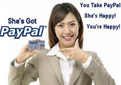 Google launched an online payment system ... for free