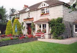 Grass does not need to trim