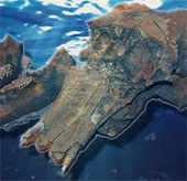 Graveyard mammoth under the Volga river