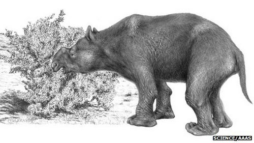 Great extinct Australian mammals