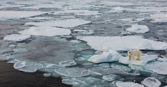 Great extinction worldwide may take place in 2100