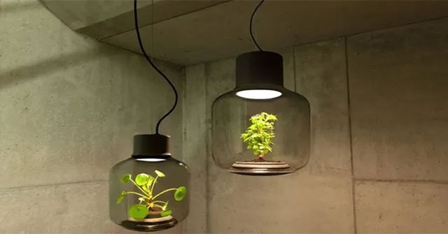 Great inventions that are environmentally friendly ... and human!